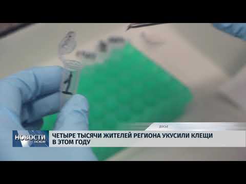 Новости Псков 11.10.2018 # Клещи укусили четыре тысячи жителей области 