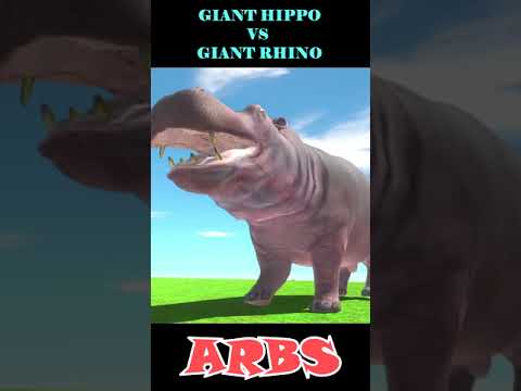 GIANT HIPPO VS GIANT RHINO - ARBS