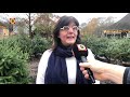 De Tongerlose Hoef in Tilburg al vóór Sinterklaas in kerstsfeer