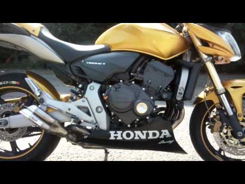 Hornet R 07 kit FG Gubellini, DPM, Rizoma by Simo