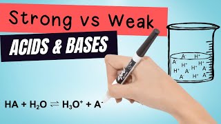 Strong vs weak acids and bases (video)