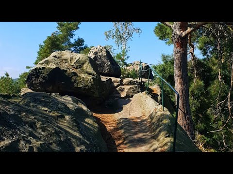 Auf dem Kammweg der Teufelsmauer bei Blankenburg im Harz