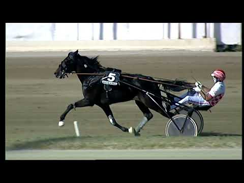 Napoli Trotto 24/09/2021 - 3ª corsa