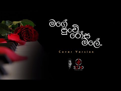 Mage Punchi Rosa Male (මගේ පුංචි රෝස මලේ) Cover Song By Lasitha Eshan