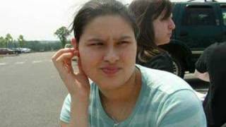 bull in a china shop