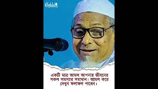 #islamic  #ytshorts #flowers