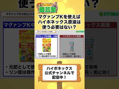 園芸 サイズの基本ルール