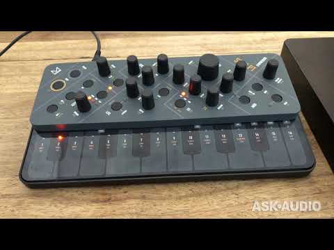 Modal Skulpt Synth Black Edition Preview