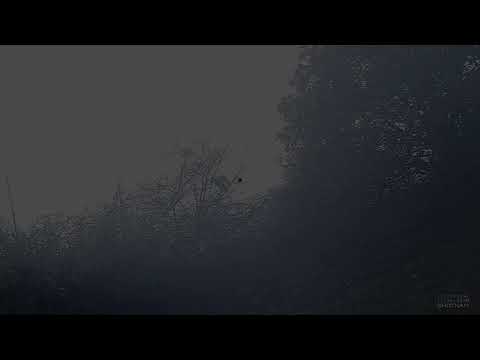 SAG NATURE srl - Ago&Ale Woodcock Hunting Season 2021 22   Beccaccia