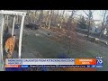 Video Shows Raccoon Attacking Girl On Her Front Porch