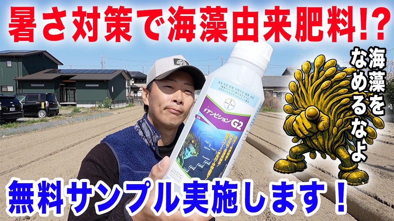 【無料サンプルキャンペーン】今年の猛暑対策はこれ！暑さに負けない野菜を作る秘密は「海藻」でした
