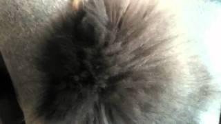 Between the Buried and Me &quot;The Parallax: Hypersleep Dialogues&quot;