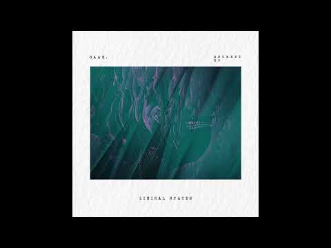 SAAM. - Segment (Anomali Remix)