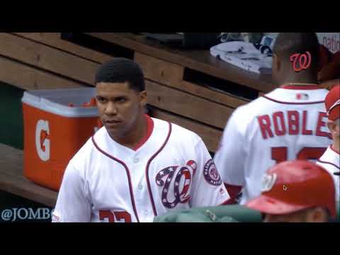 Austin Hedges Flies into the Nationals Dugout, a breakdown.