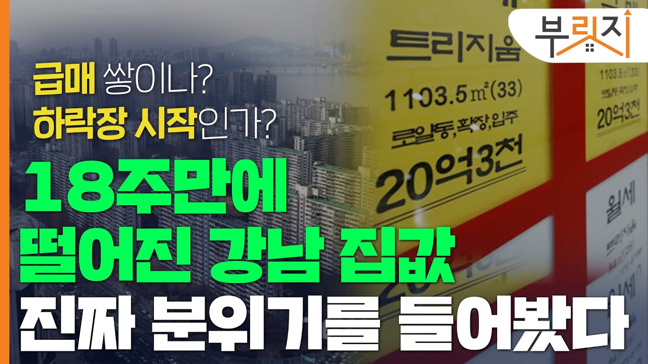 [부릿지GO]'강남 집값, 18주만에 떨어졌다"...하락장 시작 맞나요?