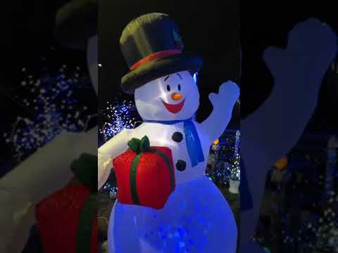 DeSario Family Festival of Lights 2018