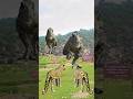 T Rex vs Leopard Real Life Animation #shortsfeed #shorts #dinosaur #video
