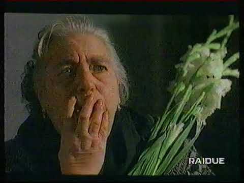 Sequenza R2 + M2 - 3 Ottobre 1994 (2/2)