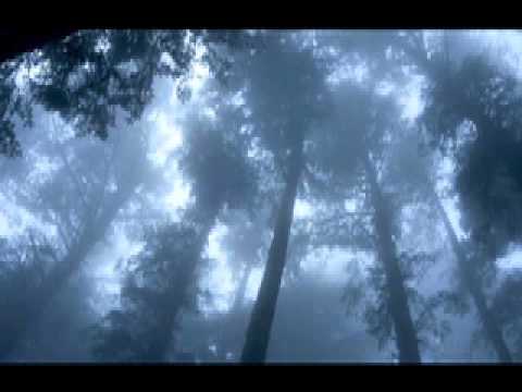 Adyashanti - Good Karma? Bad Karma?