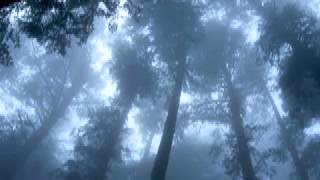 Download lagu Adyashanti - Good Karma? Bad Karma? mp3