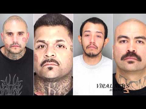 CELE Mai periculoase organizatii MAFIOTE