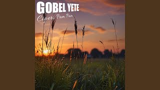 Download lagu Ciperi Pam Pam mp3