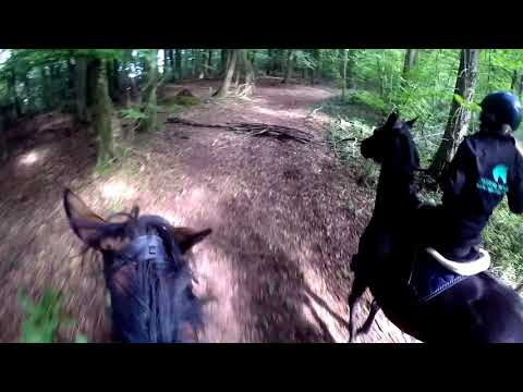 My Heart Knows Where To Go ~ Mikey Wax ~ Lucy | Libby | Rose |Reuben ~ 28/09/20