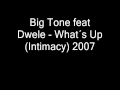 Big Tone feat Dwele   What´s Up Intimacy 2007