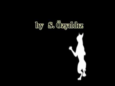 Scooby Doo Freestyle Show (Y.E.C.)