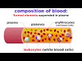 The Composition and Function of Blood