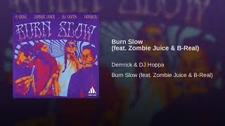 Burn Slow (feat. Zombie Juice & B-Real)