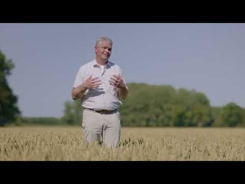 Wegverbreding A2 tussen Het Vonderen-Kerensheide