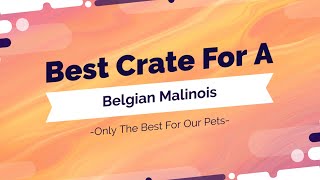 Best Dog Crate for Belgian Malinois
