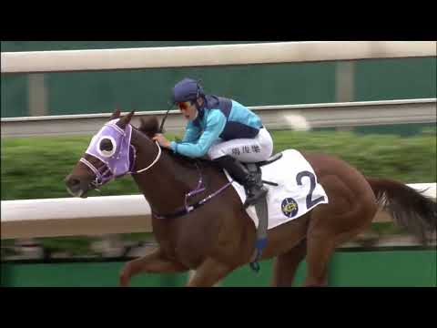 12/6/2022 (748) Sunny Boy - Jerry Chau