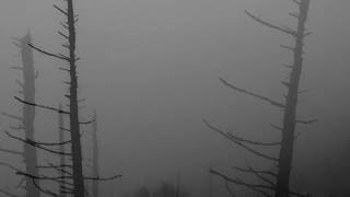 Download lagu Blinkar från Norr / Metaphors For Things (ASIPV022) mp3 Download lagu Blinkar från Norr / Metaphors For Things (ASIPV022) mp3