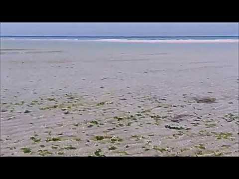 Bateau Rouge (Feat. Lou Lou Ghelichkhani) - Thievery Corporation : Jeju Island