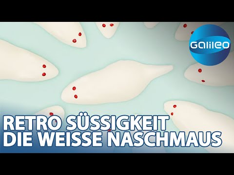 Red eyes, foamy body: What makes the retro mouse so special?