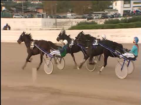 Trotto 11/11/2018 - 4ª corsa