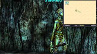 EverQuest Rain of Fear - Zone Run Through of Evantil, the Vile Oak