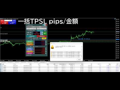Video One Click Pro SL TP Batch Auto Close