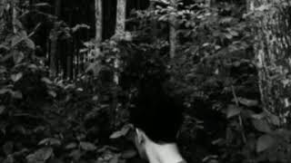 Download lagu Story' wa happy asmara - aku sayang kowe mp3 Download lagu Story' wa happy asmara - aku sayang kowe mp3