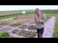 Texel geeft energie