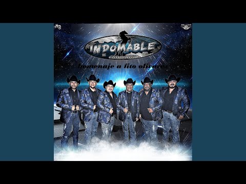 Homenaje a Fito Olivares