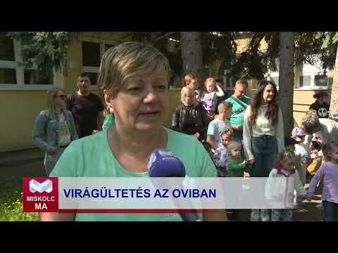 Videó előnézet