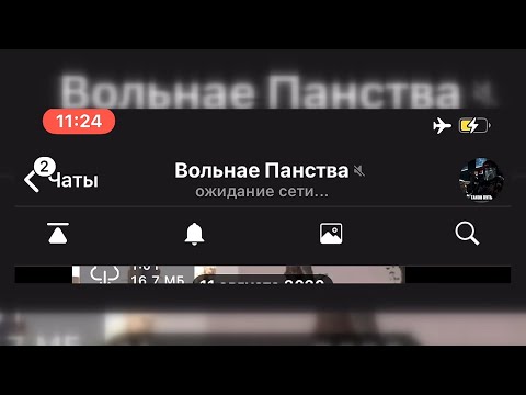 "Вольнае Панства". История одного telegram-чата видео