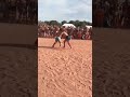 Video Girls Fighting Kusti Fight Ladki Kapda Khol Ke Kusti Nanga Lad Rahi Hai