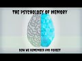 The Psychology of Memory | How We Remember and Why We Forget