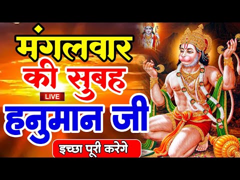 LIVE : आज शनिवार की सुबह यह भजन सुन लेना सब चिंताए दूर हो जाएगी |Hanuman Aarti |Hanuman Chalisa