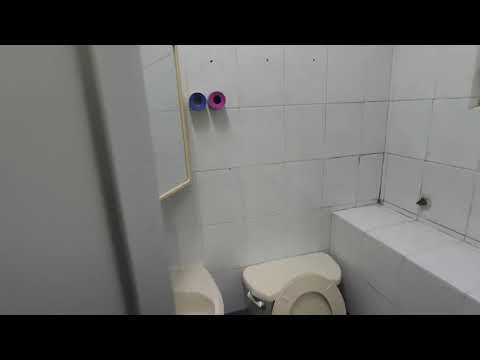 Siu Lek Yuen Youtube Video