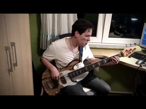 Lepa Brena - Pazi kome zavidis // Bass cover